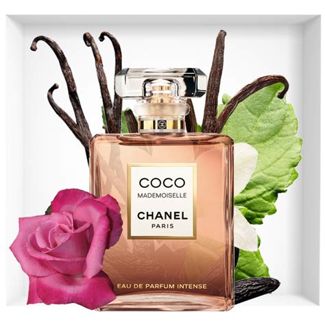 coco chanel perfume notas